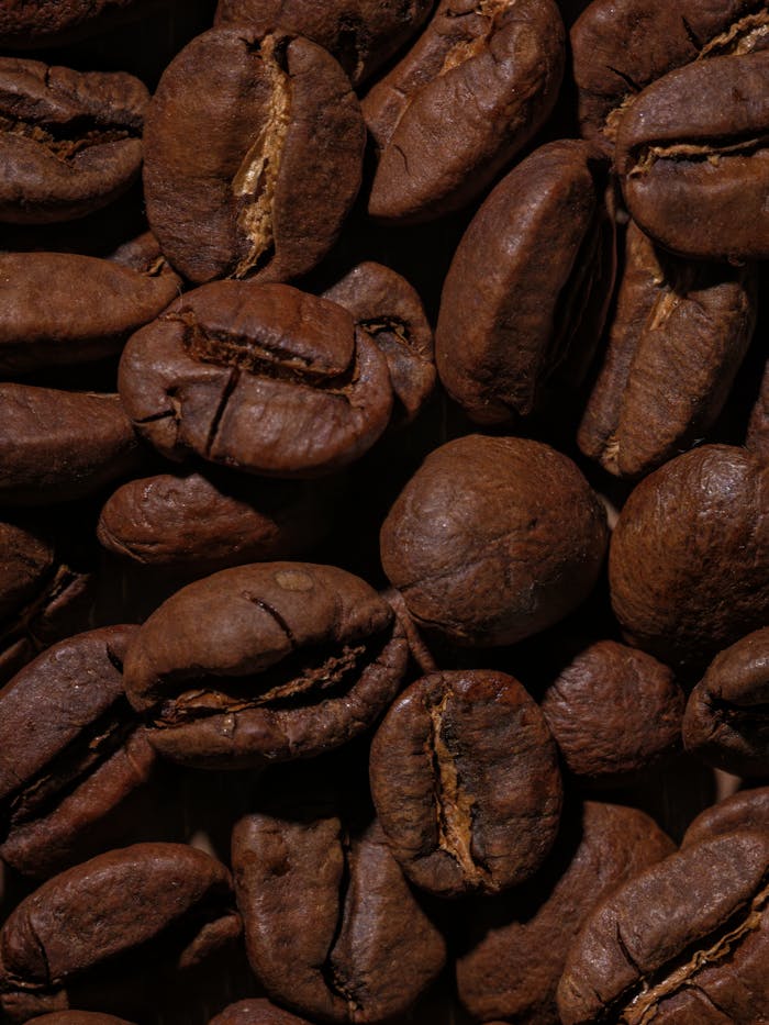 services-04 Detailed macro image of roasted coffee beans showcasing rich brown hues and textures.